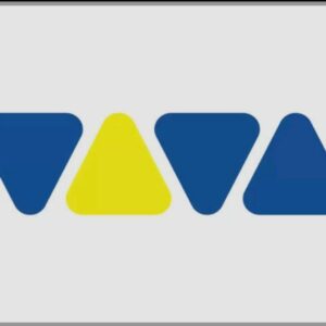 laut.fm - VIVA TOP 100